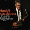 David Sanborn - Here & Gone