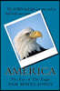America "The Eye of The Eagle"