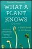 What a Plant Knows: A Field Guide to the Senses: Updated and Expanded Edition