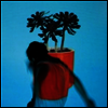 Local Natives - Sunlit Youth (Ltd. Ed)(Download Card)(Vinyl LP)