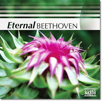 Jeno Jando / Takako Nishizaki / Csaba Onczay 이터널 베토벤 (Eternal Beethoven) 