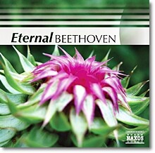 Jeno Jando / Takako Nishizaki / Csaba Onczay 이터널 베토벤 (Eternal Beethoven)