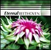 Jeno Jando / Takako Nishizaki / Csaba Onczay 이터널 베토벤 (Eternal Beethoven)