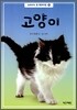 고양이