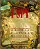 I Spy Treasure Hunt: A Book of Picture Riddles
