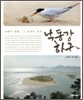 낙동강 하구