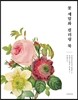 꽃 세밀화 컬러링 북