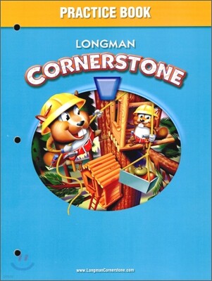 Longman Cornerstone Level 2 : Practice Book