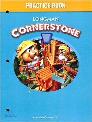 Longman Cornerstone Level 2 : Practice Book