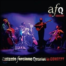 Antonio Forcione - In Concert [PAL 방식 DVD]