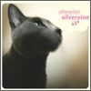 Afterpilot - Silvervine