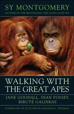 Walking with the Great Apes