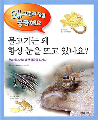 물고기는 왜 항상 눈을 뜨고 있나요?