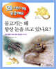 물고기는 왜 항상 눈을 뜨고 있나요?