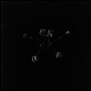 Waterstrider - Nowhere Now (LP)