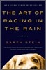 The Art of Racing in the Rain