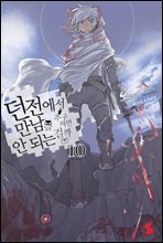 던전에서 만남을 추구하면 안 되는 걸까 10