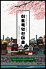 이토록 멋진 마을