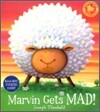 Marvin Gets Mad!