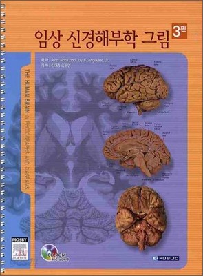 임상신경해부학그림