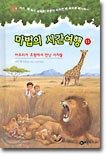 마법의 시간여행 11