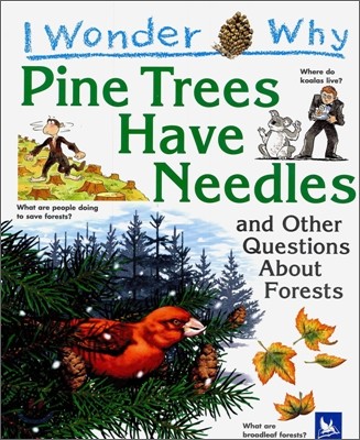 I Wonder Why #08 : Pine Trees Have Needles