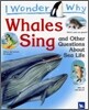 I Wonder Why #18 : Whales Sing