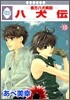 八犬傳 東方八犬異聞 10