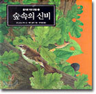 숲속의 신비