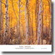 Murray Perahia / Amadeus Quartet 브람스: 인터메쪼, 피아노 사중주 (Brahms: Intermezzo)