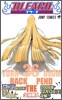 BLEACH ブリ-チ 36