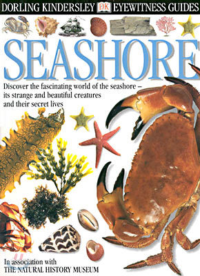 DK Eyewitness Guides : Seashore