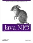 Java NIO: Regular Expressions and High-Performance I/O