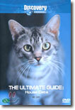 애완 고양이 The Ulitmate Guide : House Cats