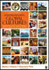 Understanding Global Cultures