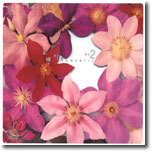 Romantic 2 (로맨틱 2)