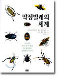 딱정벌레의 세계