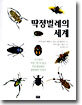 딱정벌레의 세계