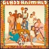 Glass Animals (글래스 애니멀스) - How To Be A Human Being [LP]