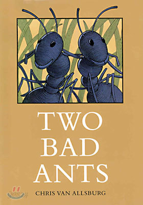 Two Bad Ants