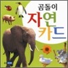 곰돌이 자연카드