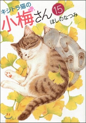 キジトラ猫の小梅さん  15