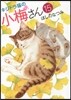 キジトラ猫の小梅さん  15