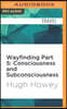 Wayfinding Part 5: Consciousness and Subconsciousness