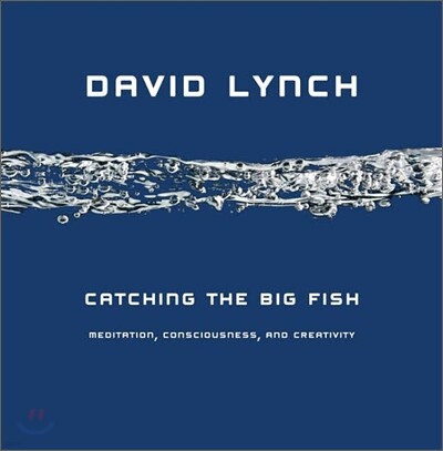 Catching the Big Fish: Meditation, Consciousness, and Creativity