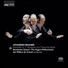 Jan Willem de Vriend 브람스: 세레나데 1번, 하이든 주제에 따른 변주곡 (Brahms: Serenade Op.11, Variations on a Theme by Haydn Op.56a) 헤이그 필하모닉, 얀 빌렘 데 브린트
