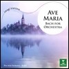 Pro Arte Orchestra 오케스트라를 위한 바흐 - 아베 마리아 (Ave Maria - Bach for Orchestra) 프로 아르테 오케스트라