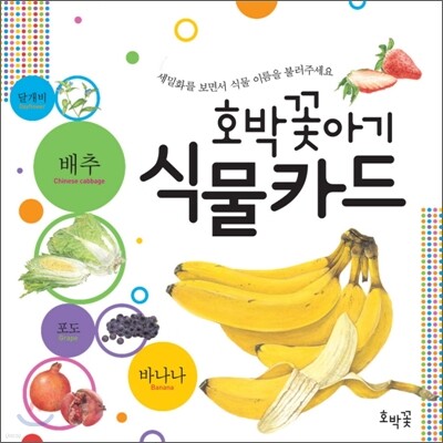 호박꽃아기 식물카드