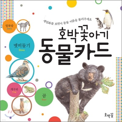 호박꽃아기 동물카드