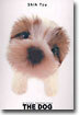 Shih Tzu(시추)